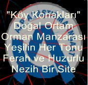 koy